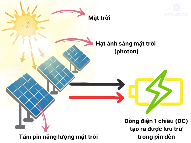 Đèn năng lượng mặt trời - Giải pháp chiếu sáng tiết kiệm điện hiệu quả