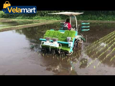 máy-cấy-lúa