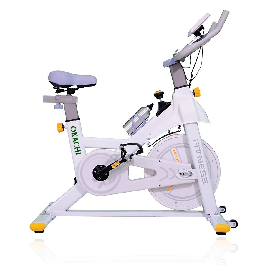 Xe đạp tập thể dục tại nhà OKACHI JP-390A