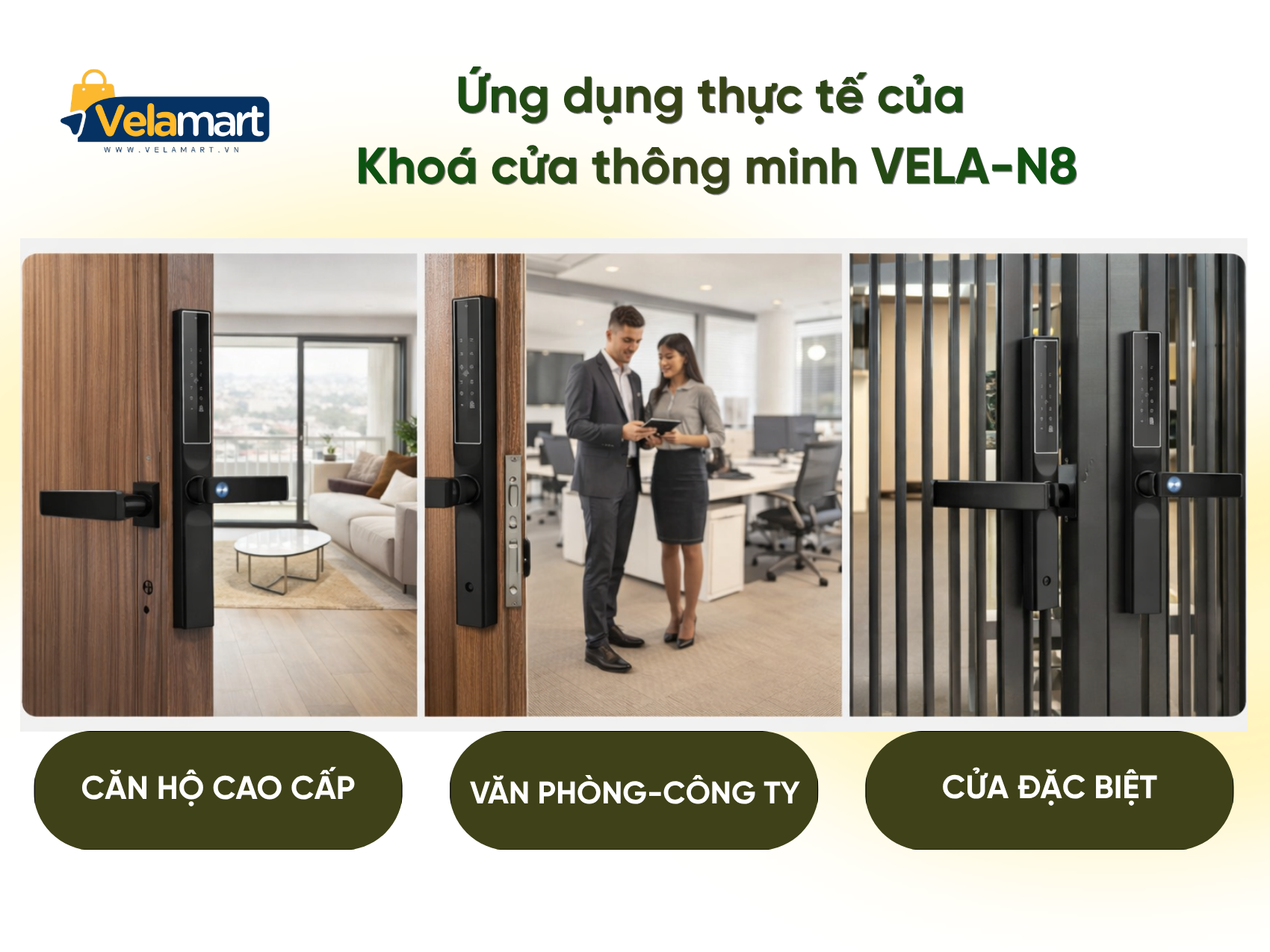 Khóa Cửa Thông Minh VELA-N8
