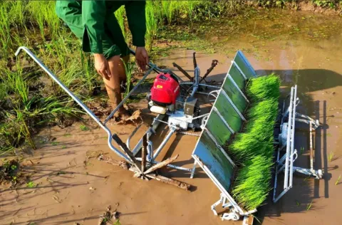 Máy Cấy Văn Lang 6 hàng