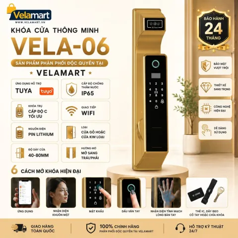 Khóa vân tay cửa gỗ