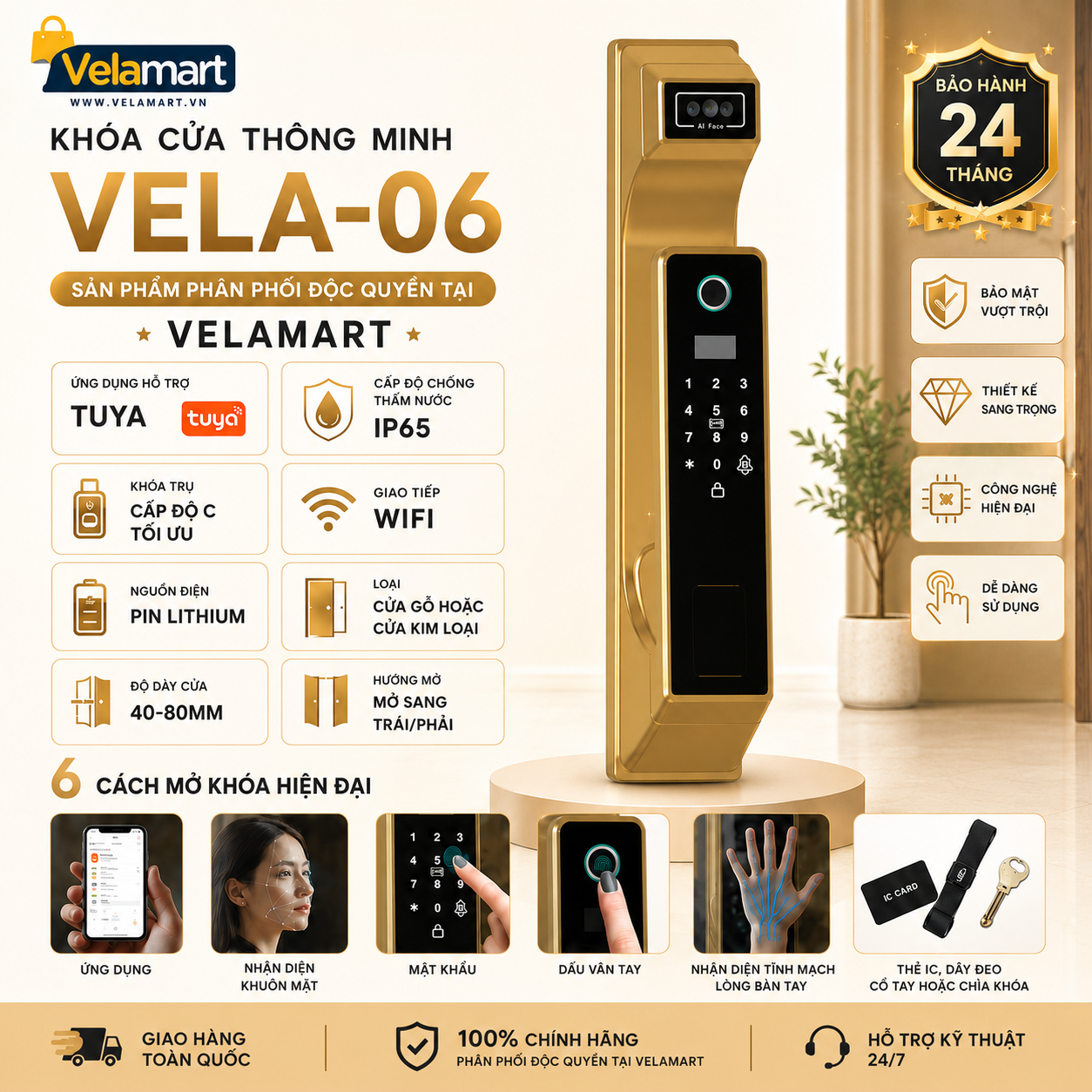 VELA-06.png