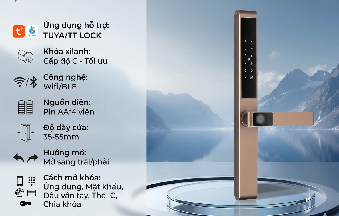 vela-N6 (2).png