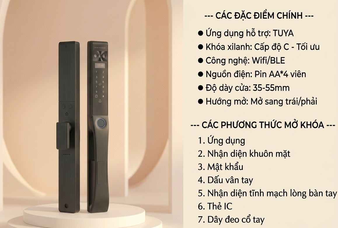vela-N9 (2).png