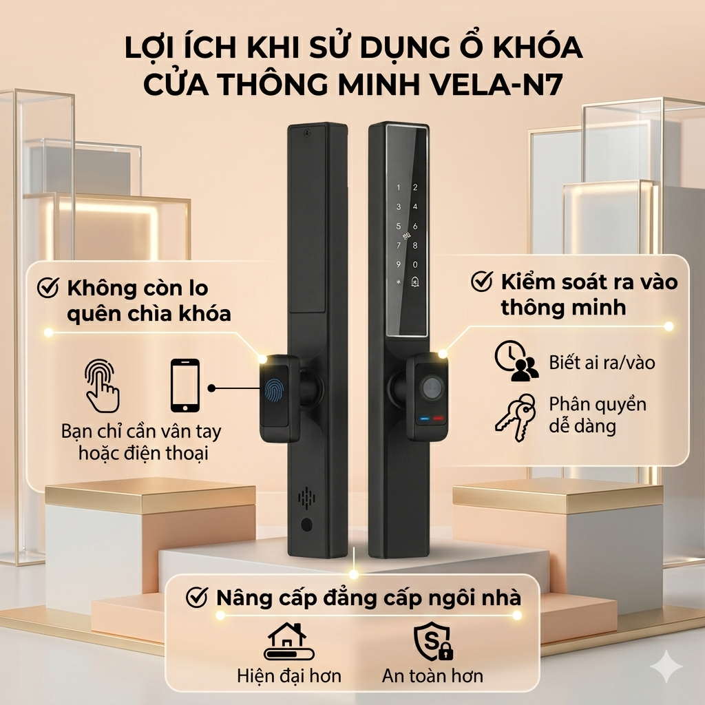 vela-n7 (3).png