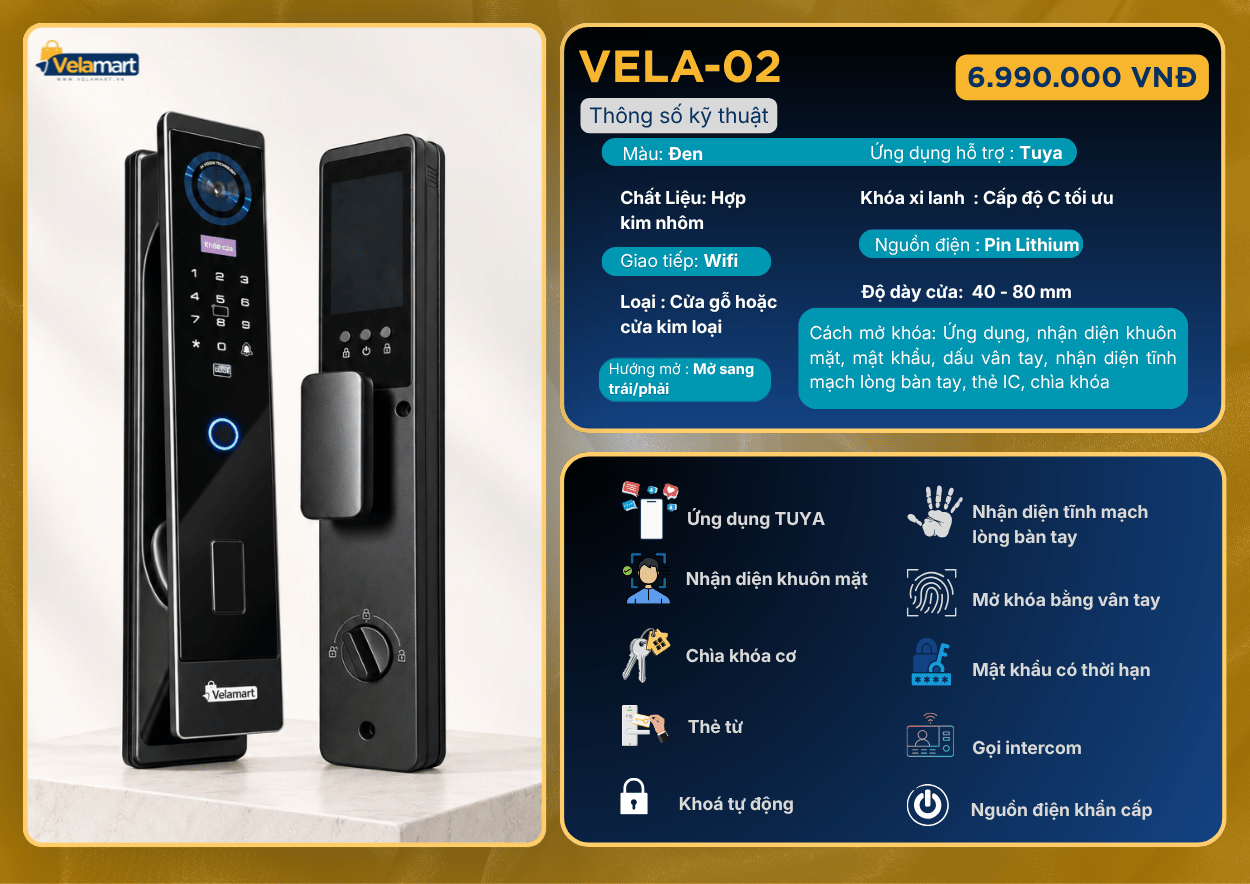 vela-02 (1).png