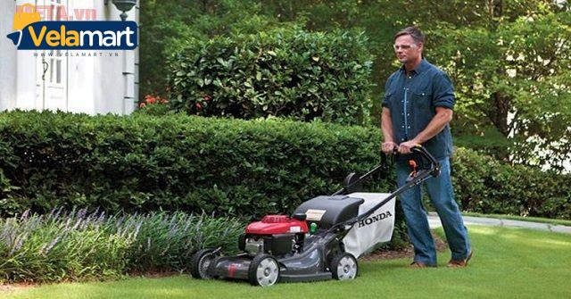 máy-cắt-cỏ