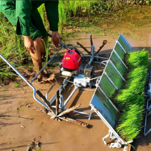 Máy Cấy Văn Lang 6 hàng