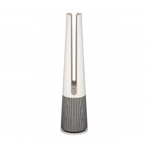 Máy lọc không khí kết hợp quạt LG PuriCare AeroTower FS15GPCJ0.ABAE
