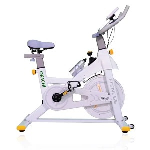 Xe đạp tập thể dục tại nhà OKACHI JP-390A