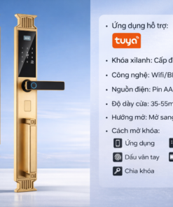 Trang chủ 26 VELA b3 2