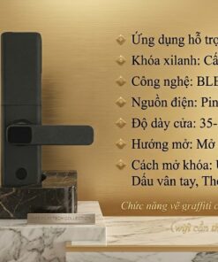 Trang chủ 32 vela s1